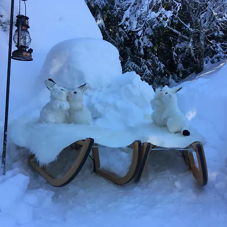 Altipik - Insolites Campo de lujo